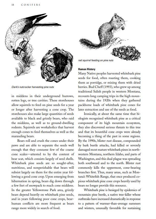 Northwest Trees, Anniversary Edition