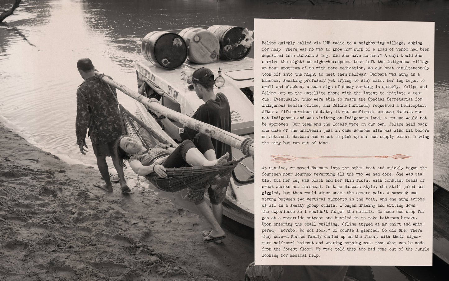 Eventually a Sequoia