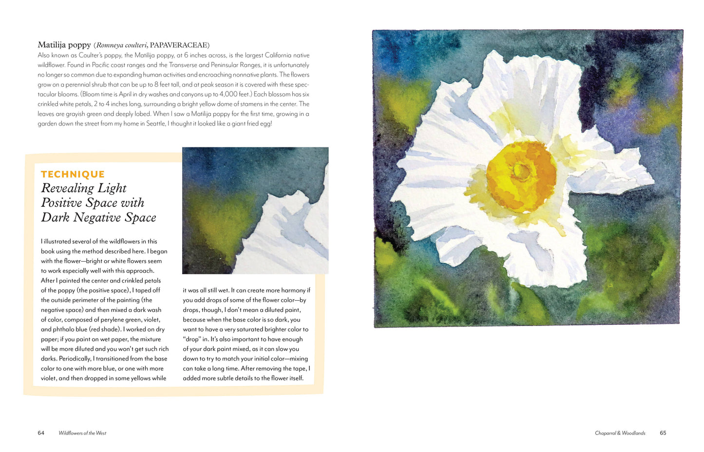 Wildflowers of the West: An Artist's Guide