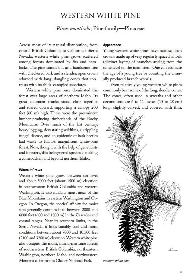 Northwest Trees, Anniversary Edition