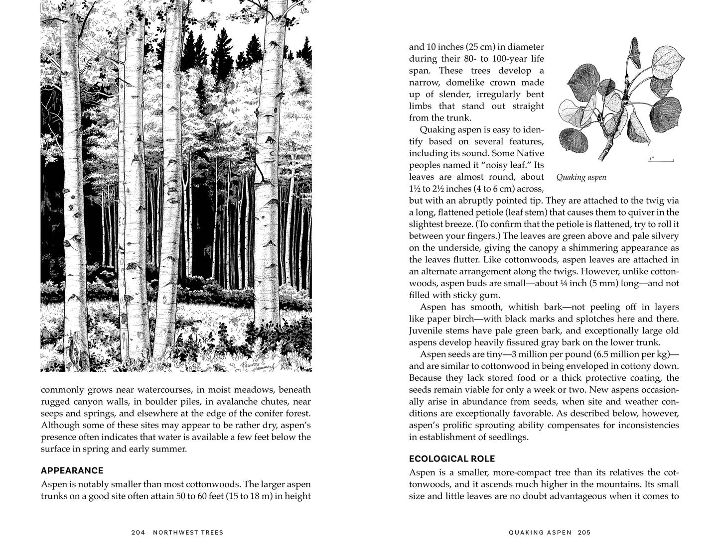 Northwest Trees, 2nd Edition