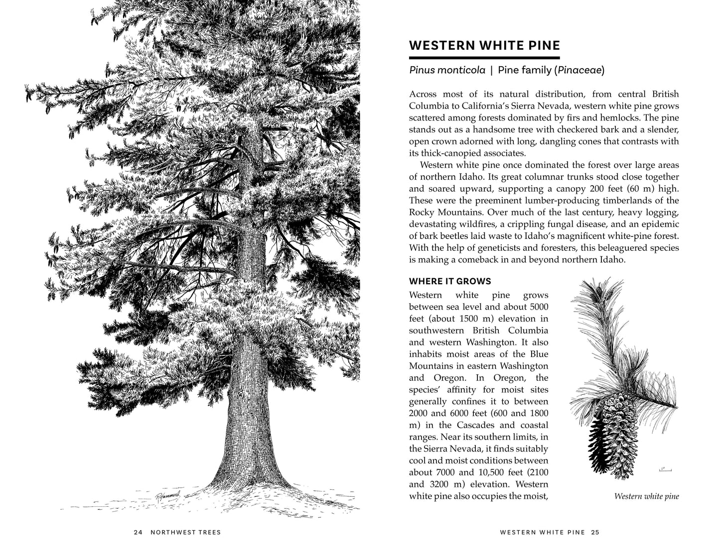 Northwest Trees, 2nd Edition