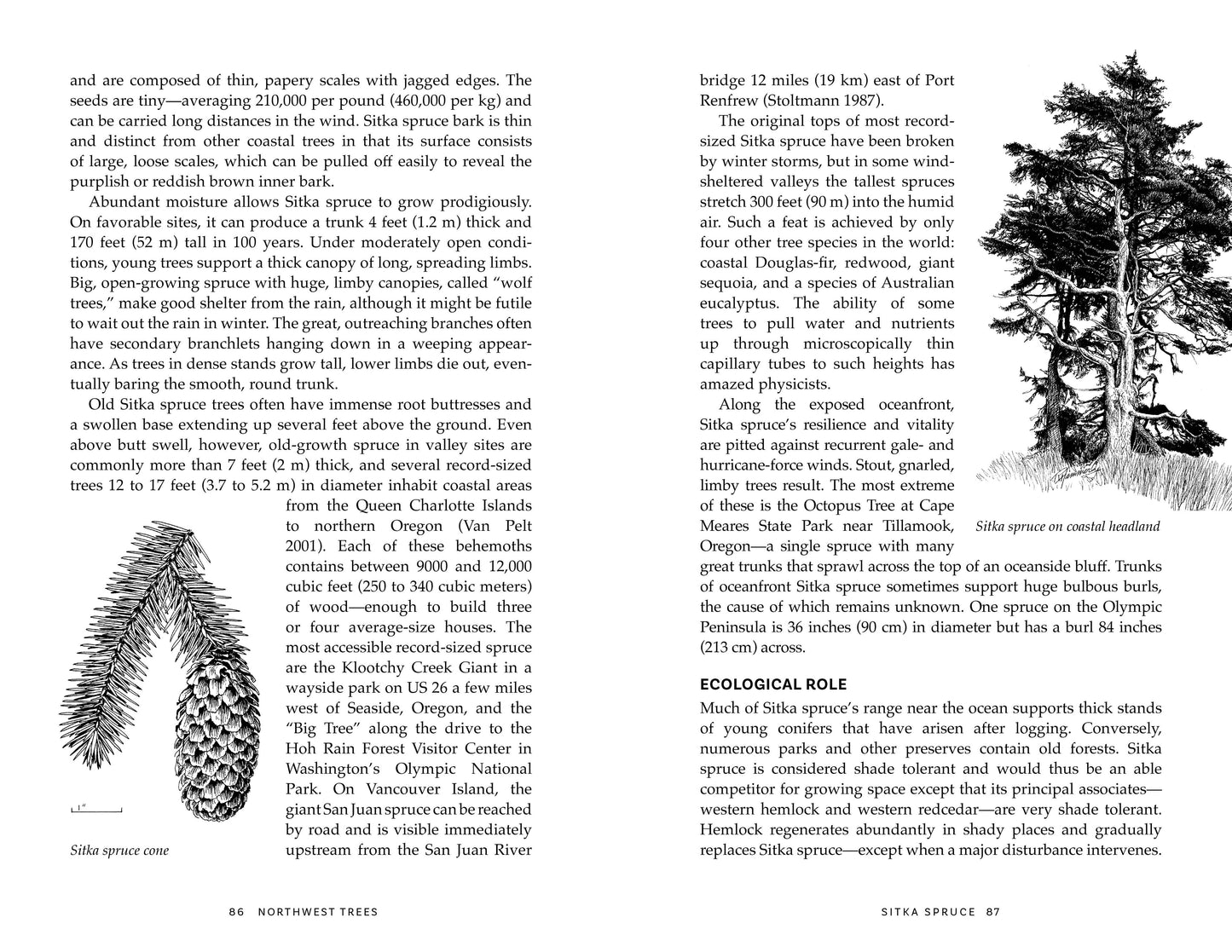 Northwest Trees, 2nd Edition