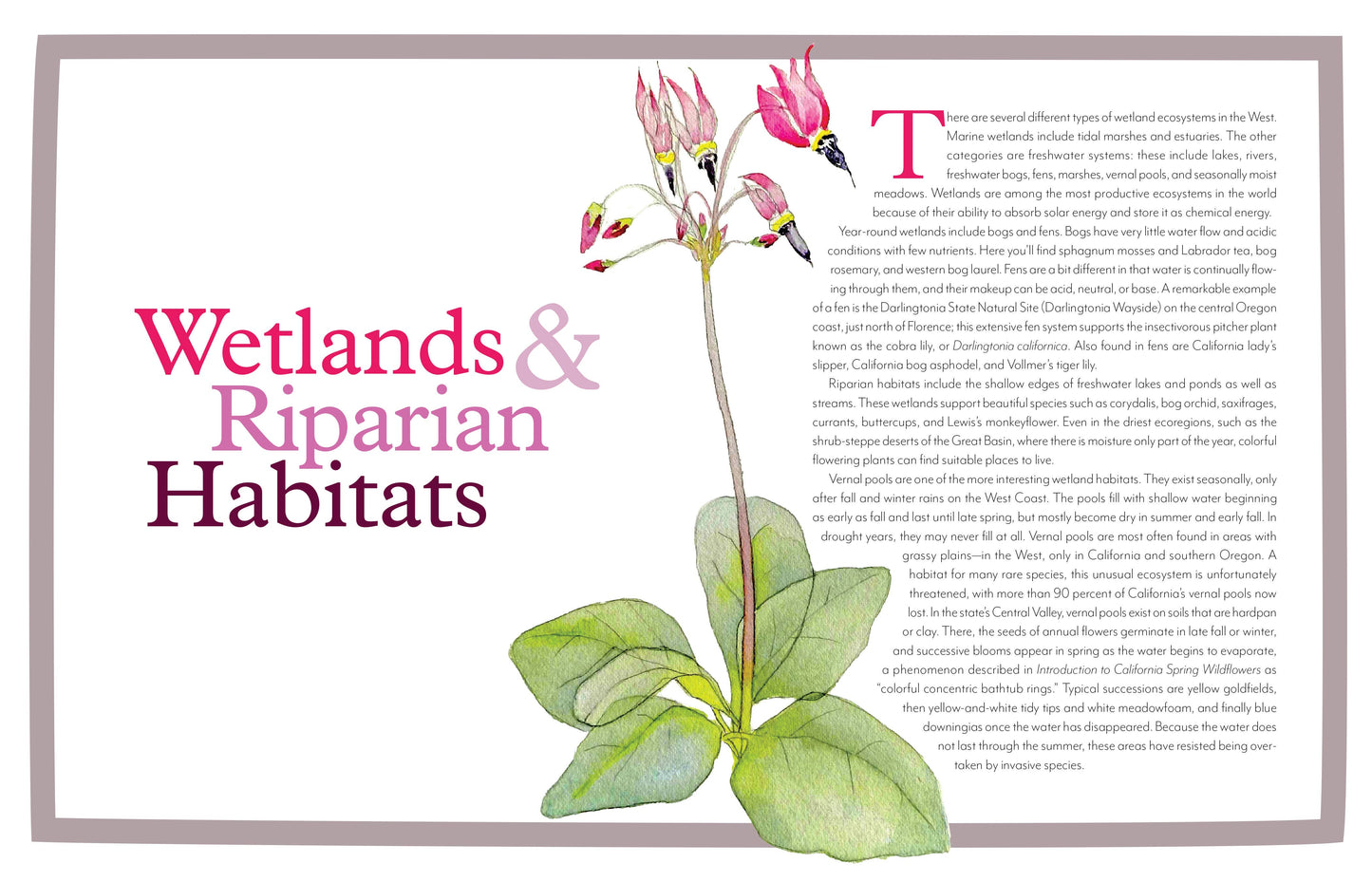 Wildflowers of the West: An Artist's Guide