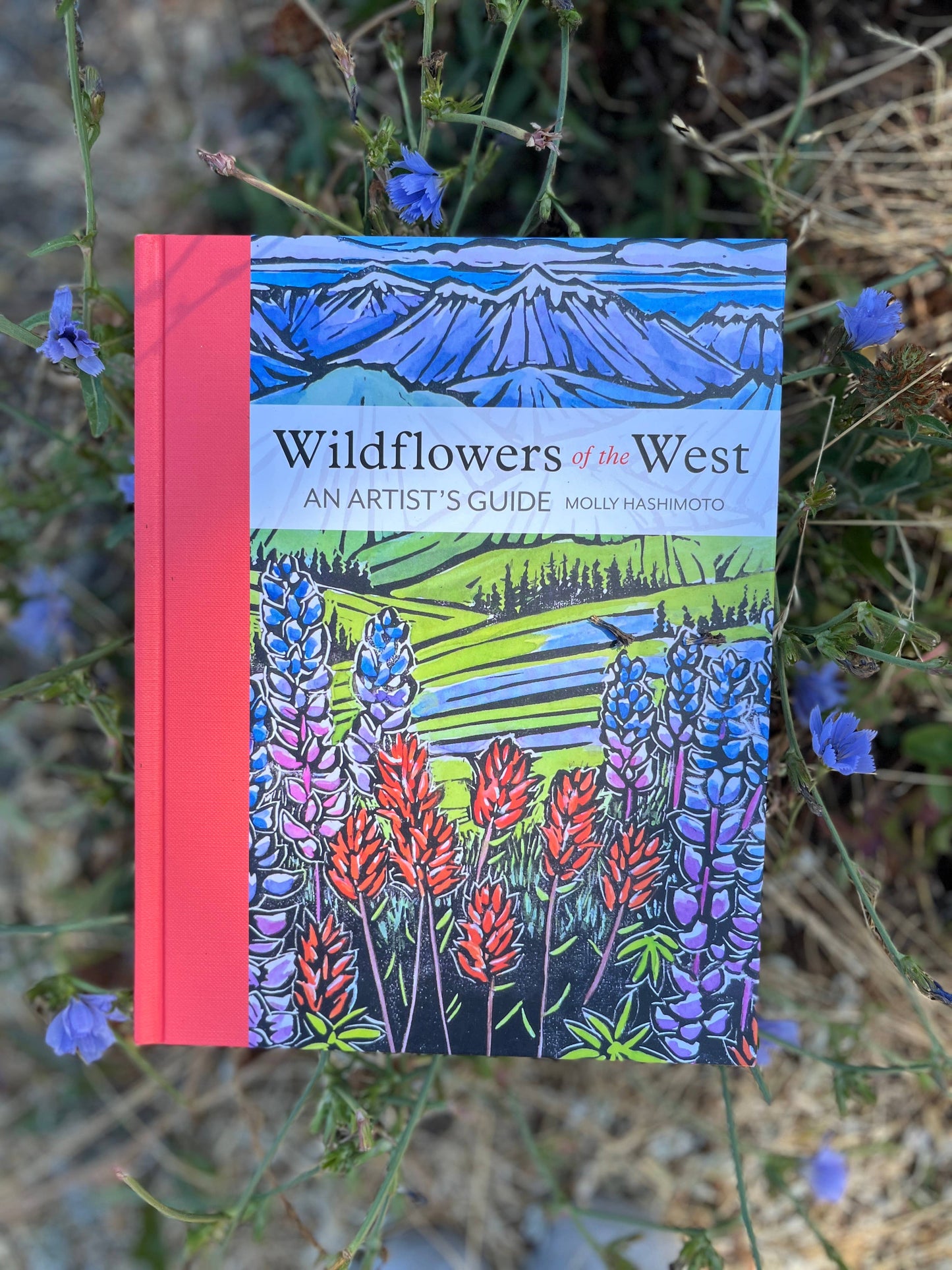 Wildflowers of the West: An Artist's Guide