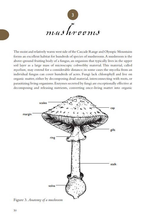 Field Guide to the Cascades and Olympics, 2nd Edition