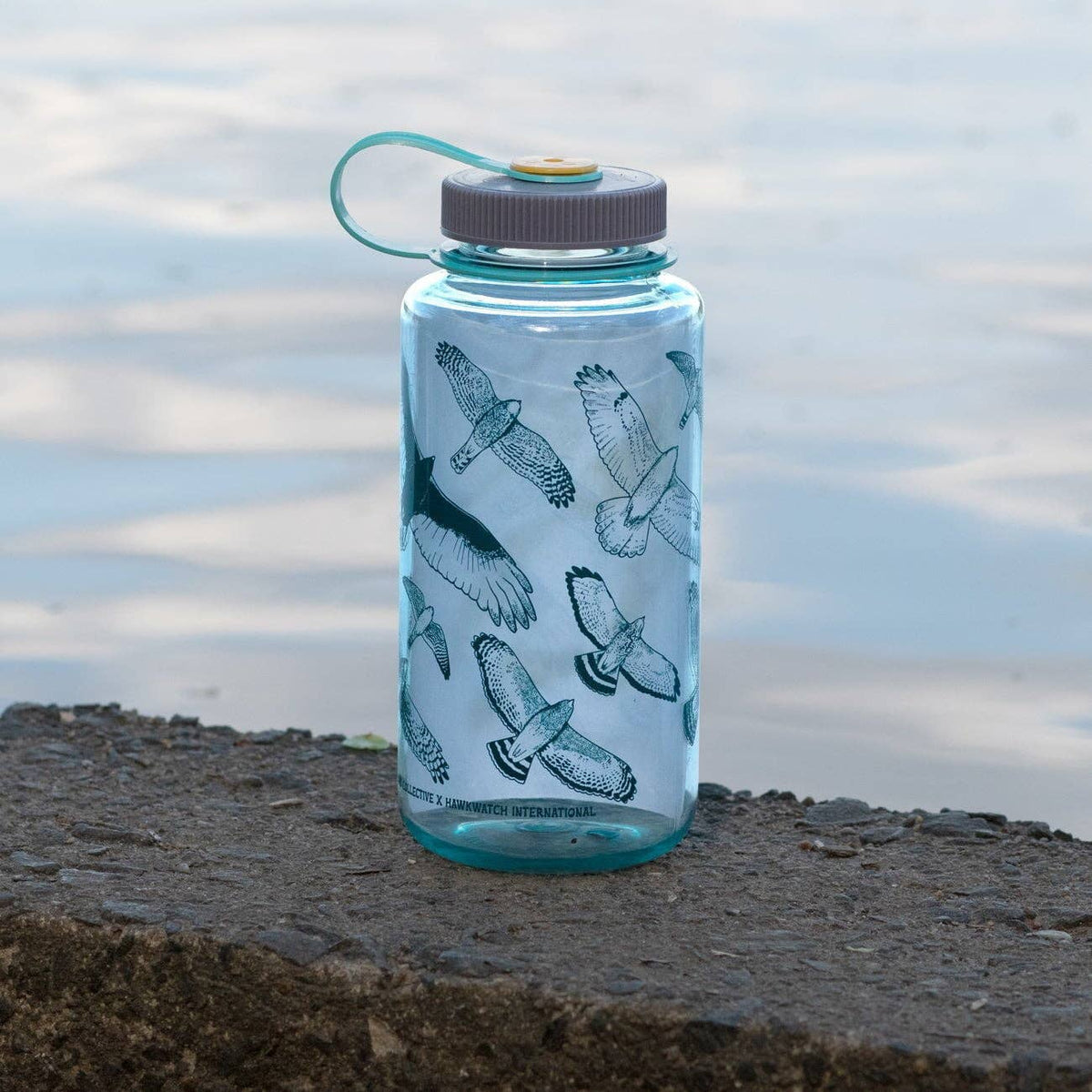 Hawks in Flight Nalgene Water Bottle | Seafoam