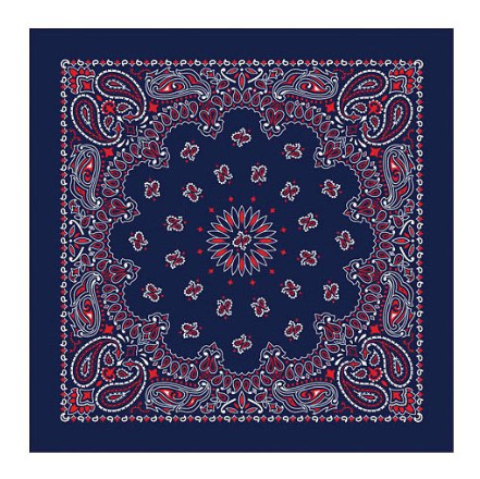 USA Paisley Bandana