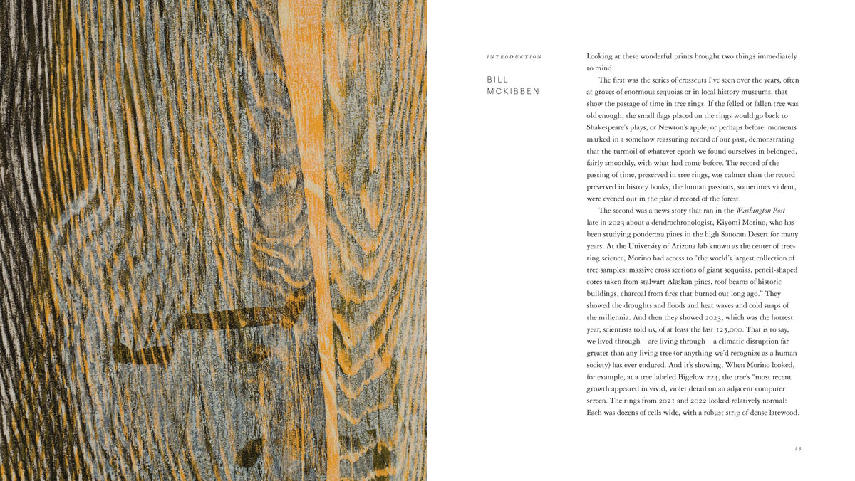 Woodcut