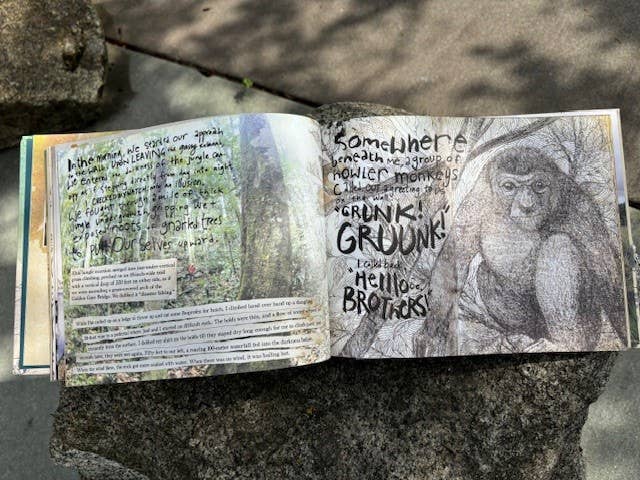 DrawnThe Art of Ascent