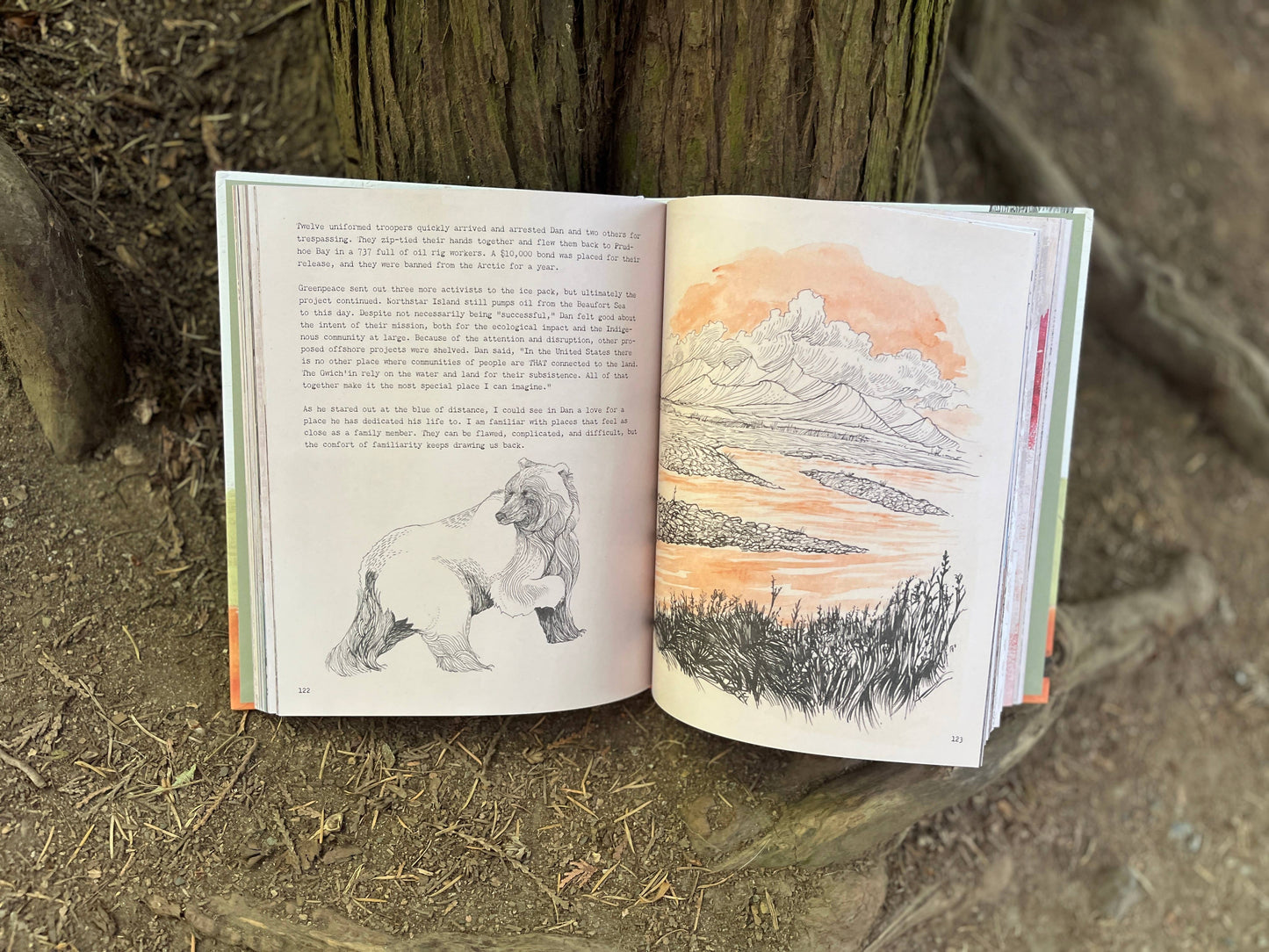 Eventually a Sequoia