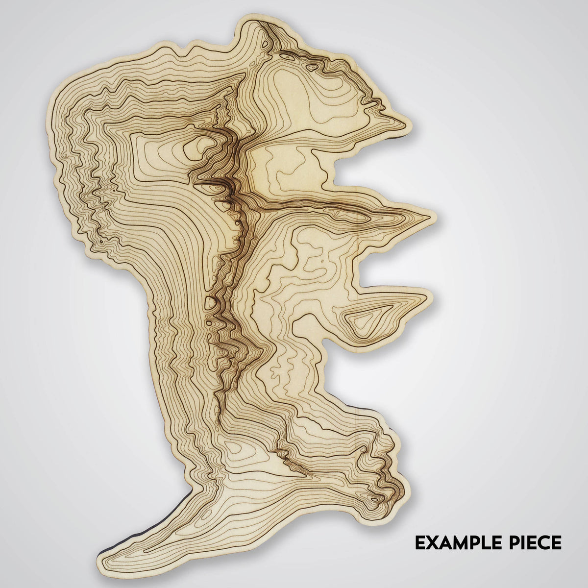 Custom Wood Wall Art | Mountain Map Art | Topography Map