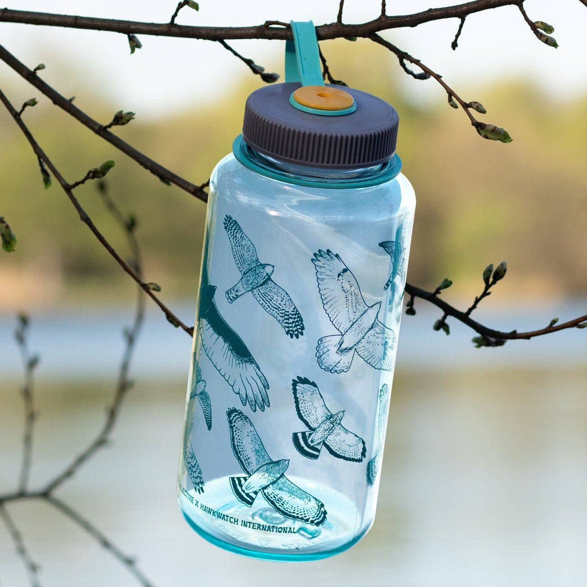 Hawks in Flight Nalgene Water Bottle | Seafoam